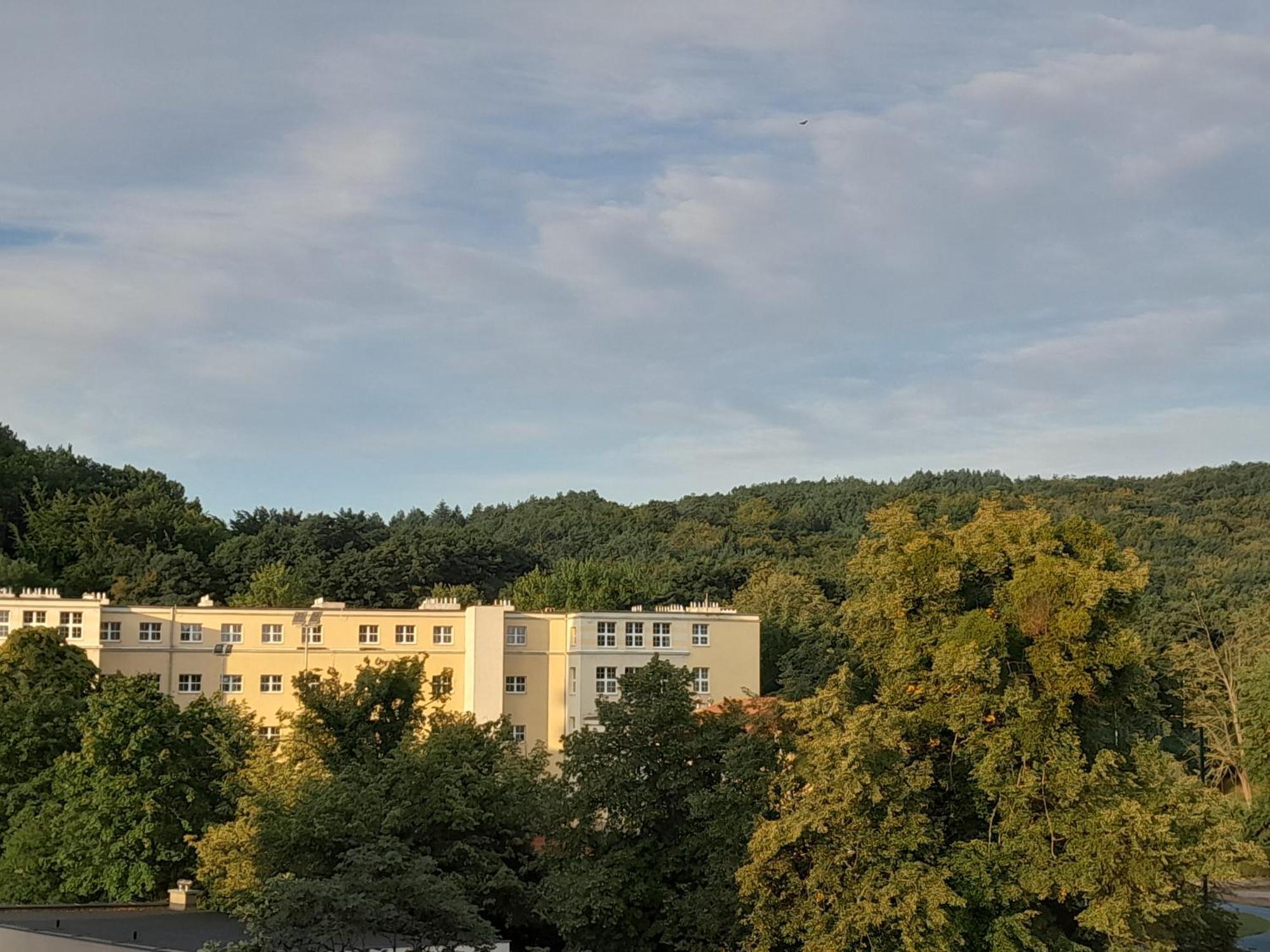Leszczynki Apartment